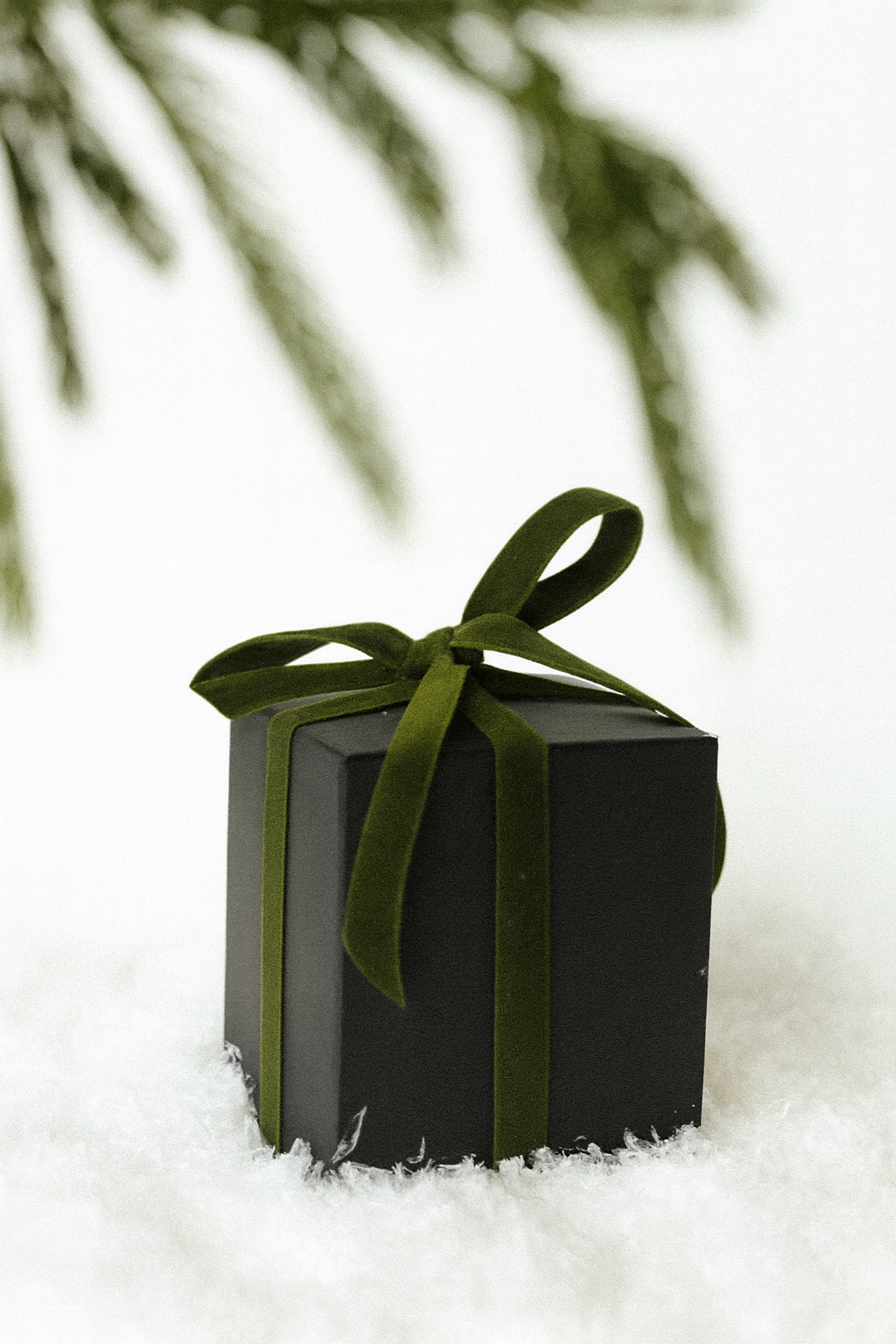 Wild Woods – Limited Edition Holiday Jar (Frost)